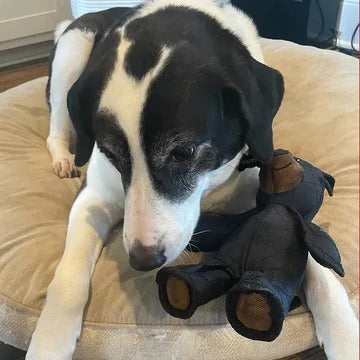 Ultimate Resilient Bear Companion for Aggressive Chewers