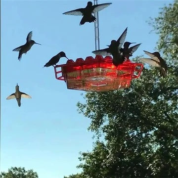 Durable Outdoor Hummingbird Feeder with Ant-Guard Design