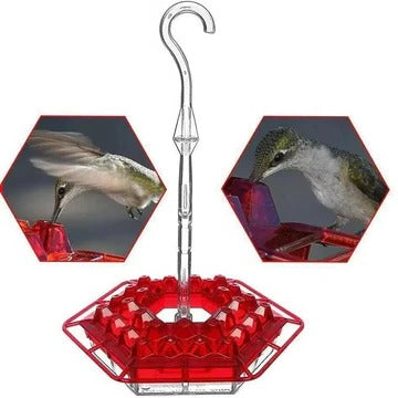 Durable Outdoor Hummingbird Feeder with Ant-Guard Design