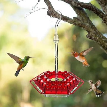 Durable Outdoor Hummingbird Feeder with Ant-Guard Design