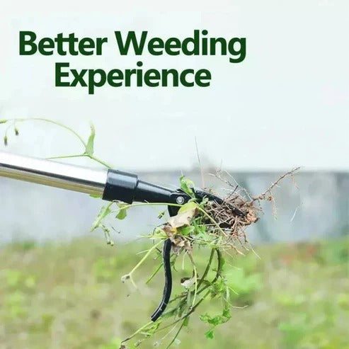 Ergonomic Weed Extraction Tool with Extended Handle