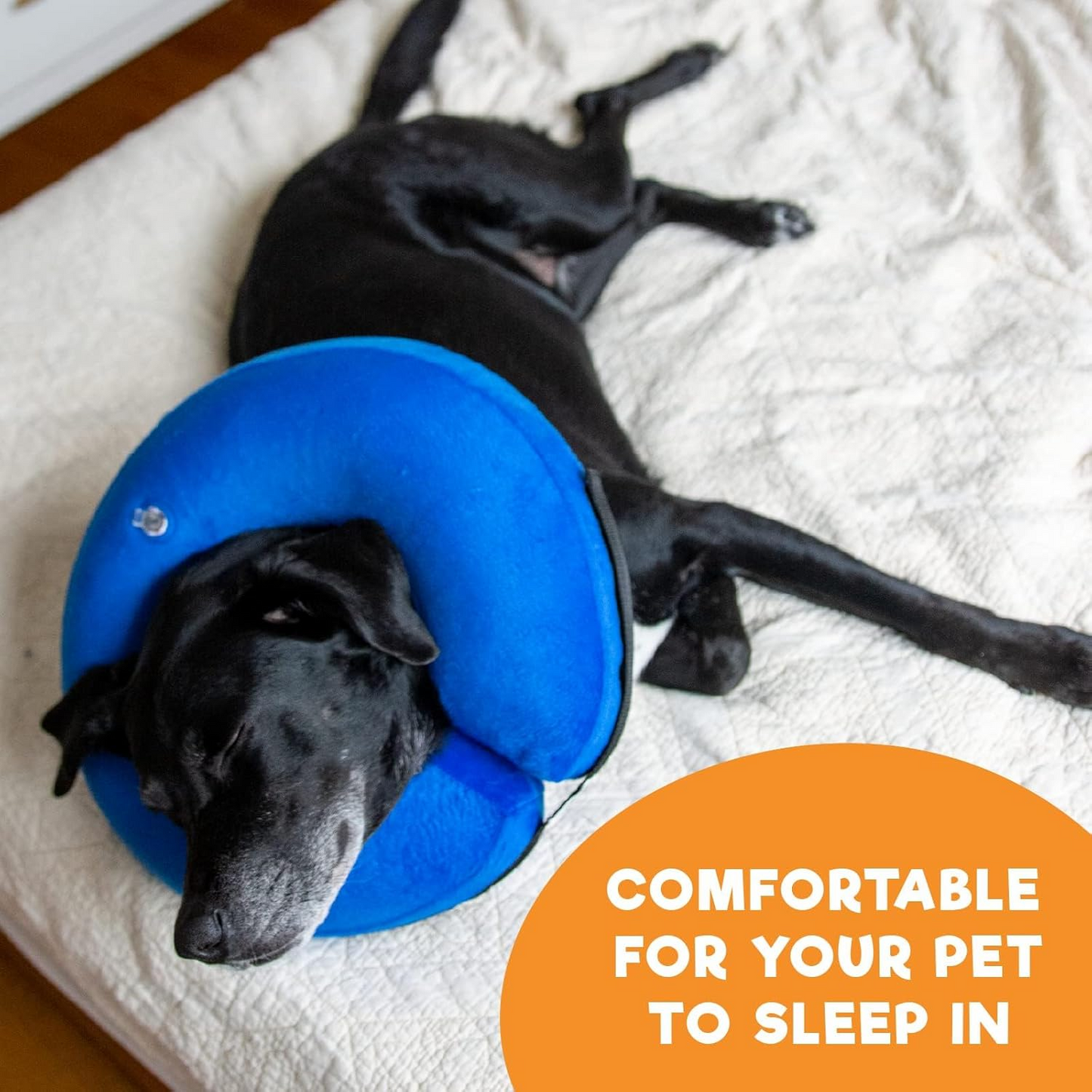 Soft Recovery Collar for Pets with Adjustable Air Comfort