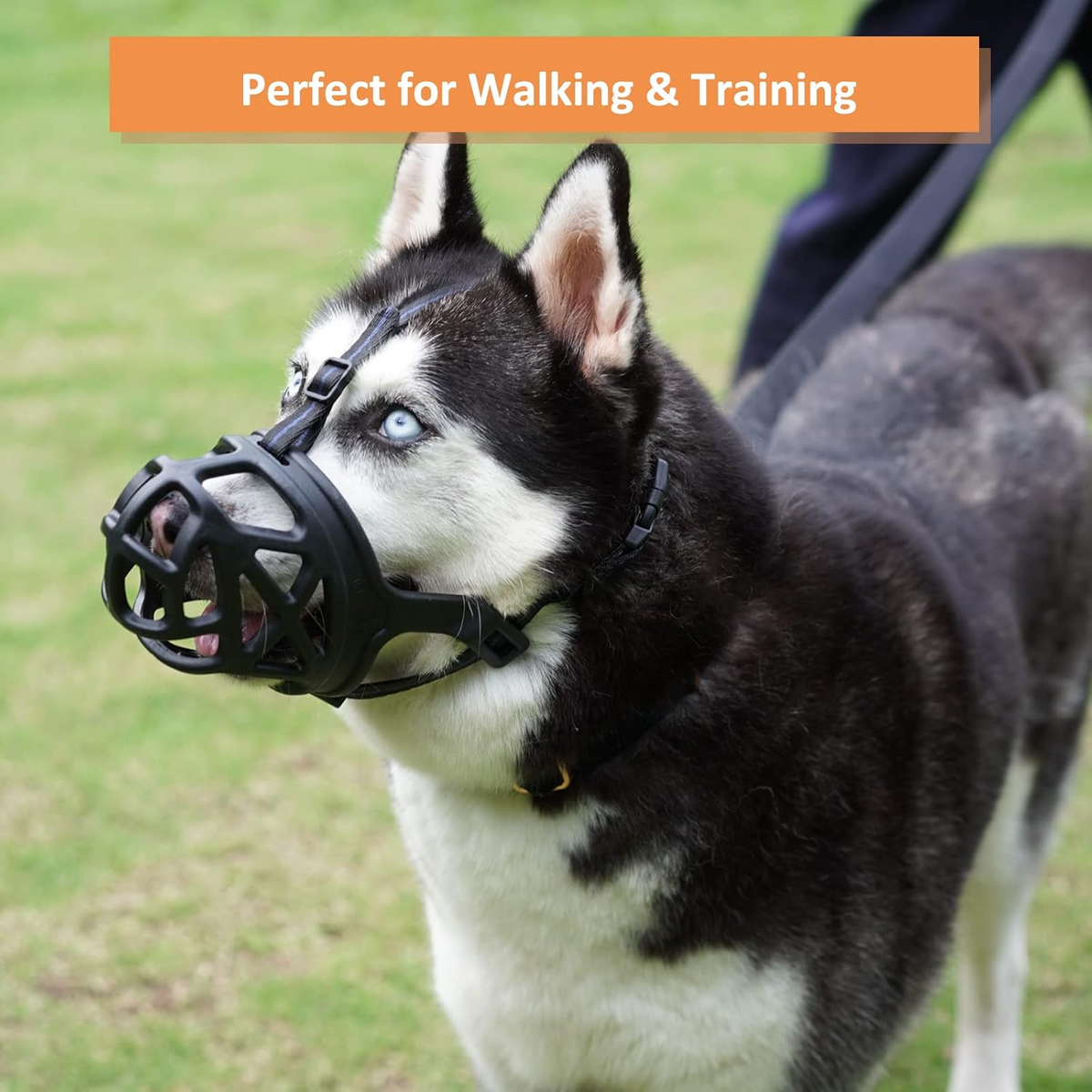 Comfort Fit Muzzle for Reactive Dogs - Adjustable and Safe