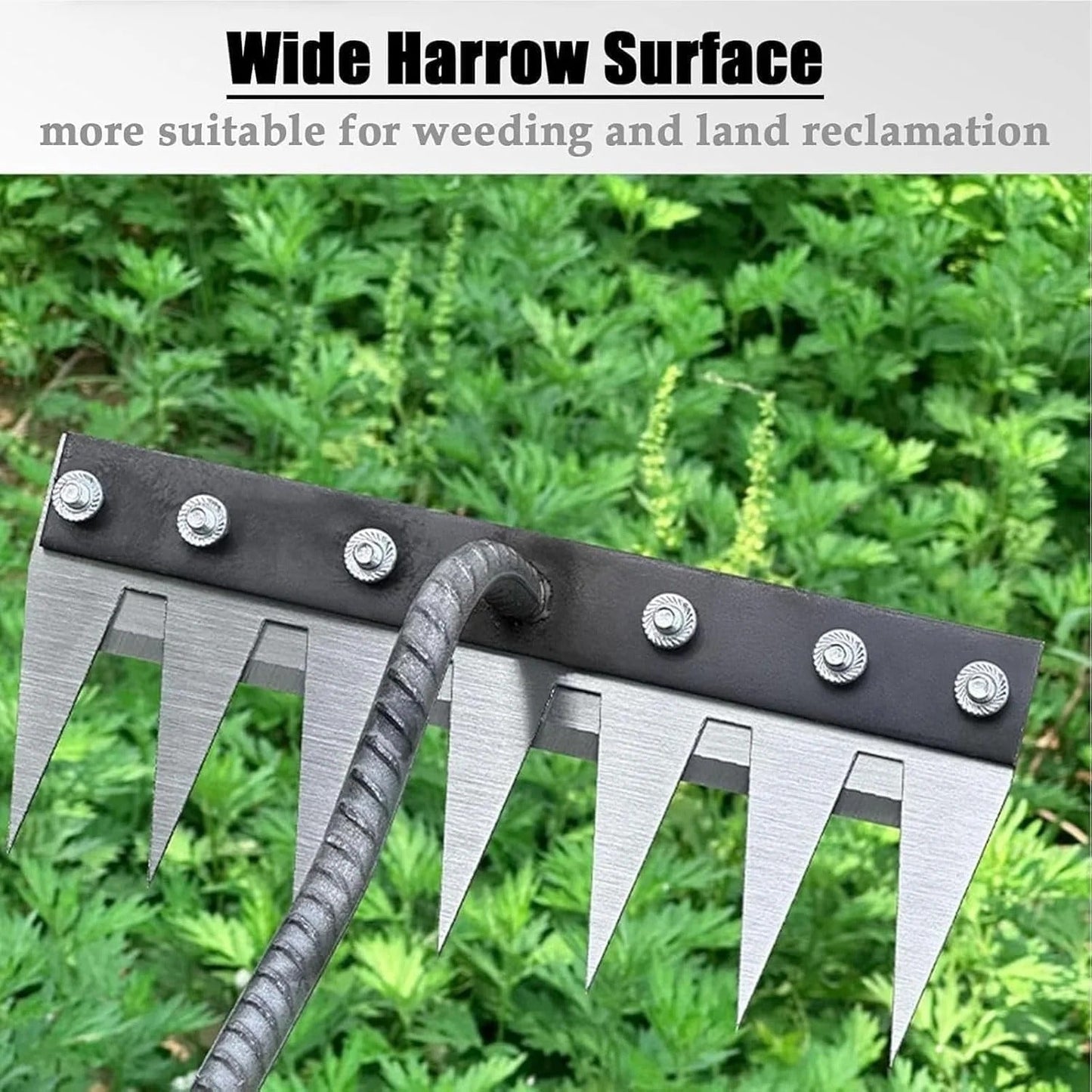 Weeding Rake in Carbon Steel with Soft Grip Handle and Replaceable Tines