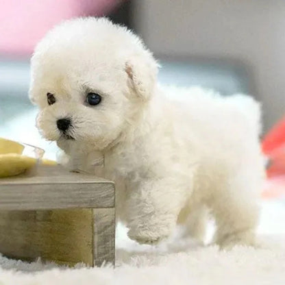 Smart Interactive Companion Puppy: Walks, Barks, and Plays