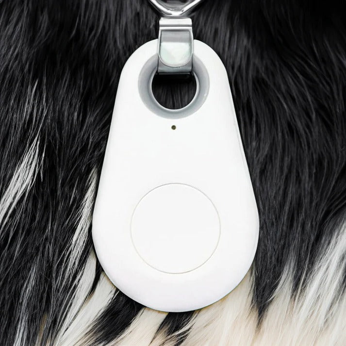 Smart Pet Locator with Real-Time Tracking & Alerts - 6-Month Battery