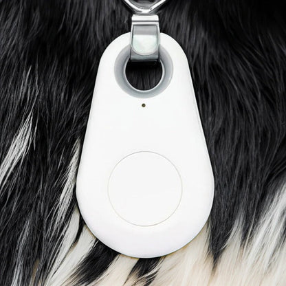 Smart Pet Locator with Real-Time Tracking & Alerts - 6-Month Battery