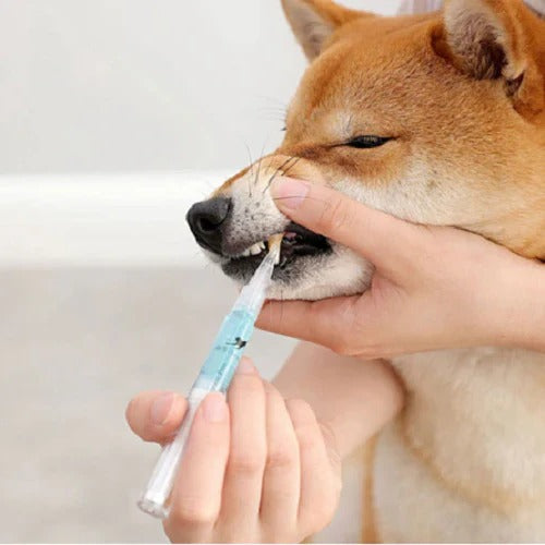 Comprehensive Oral Care Solution for Your Pet's Dental Health