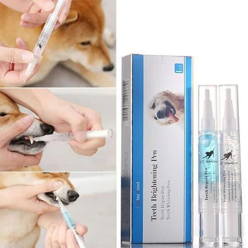 Comprehensive Oral Care Solution for Your Pet's Dental Health
