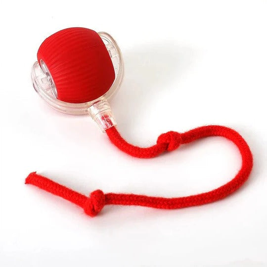 Engaging Motion-Activated Rolling Toy with Interactive Tail