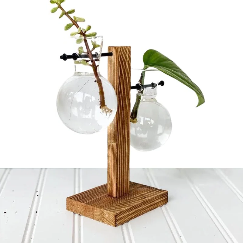 Hydroponic Wall Planter Vase in Wooden Frame – Soil-Free, Types A, B, C