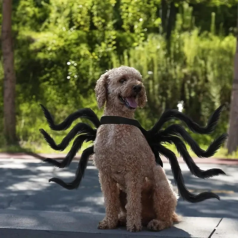 Creepy Crawler Pet Outfit with Eight Faux Legs and Adjustable Straps