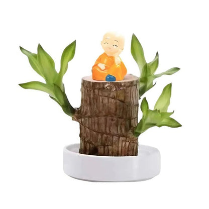 Effortless Indoor Oasis: Air-Purifying Plant for Any Space