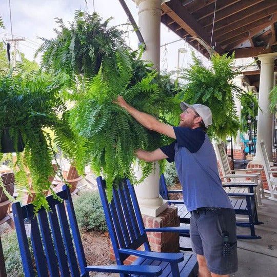 Lifelike Outdoor Boston Fern – UV Resistant Fake Hanging Plant with 18 Branches for Home and Patio Decor