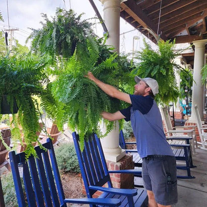 Lifelike Outdoor Boston Fern – UV Resistant Fake Hanging Plant with 18 Branches for Home and Patio Decor