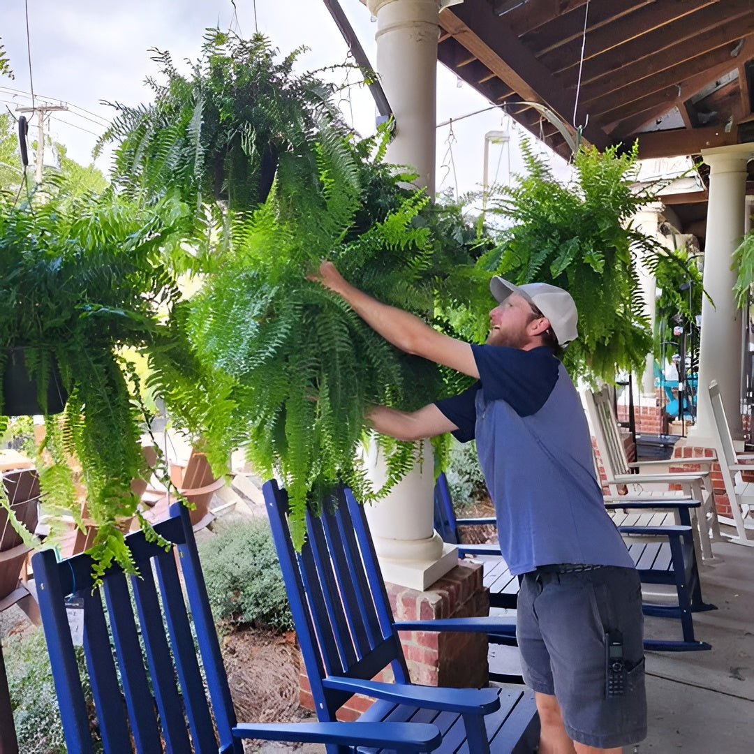 UV Resistant Artificial Boston Fern, 27.5in Wide with 18 Branches