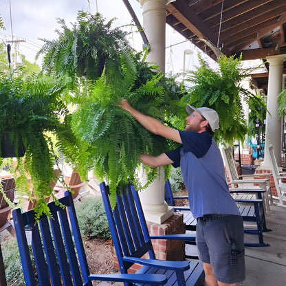 UV Resistant Artificial Boston Fern, 27.5in Wide with 18 Branches