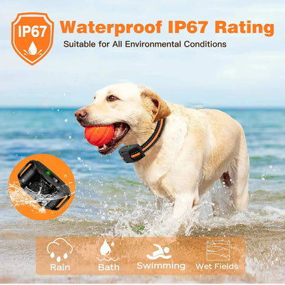 Long-Range Waterproof Canine Training System with Three Modes