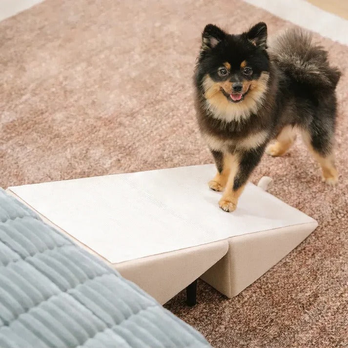 Adjustable Pet Access Ramp with Comfortable Steps and Secure Base