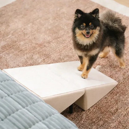 Adjustable Pet Access Ramp with Comfortable Steps and Secure Base