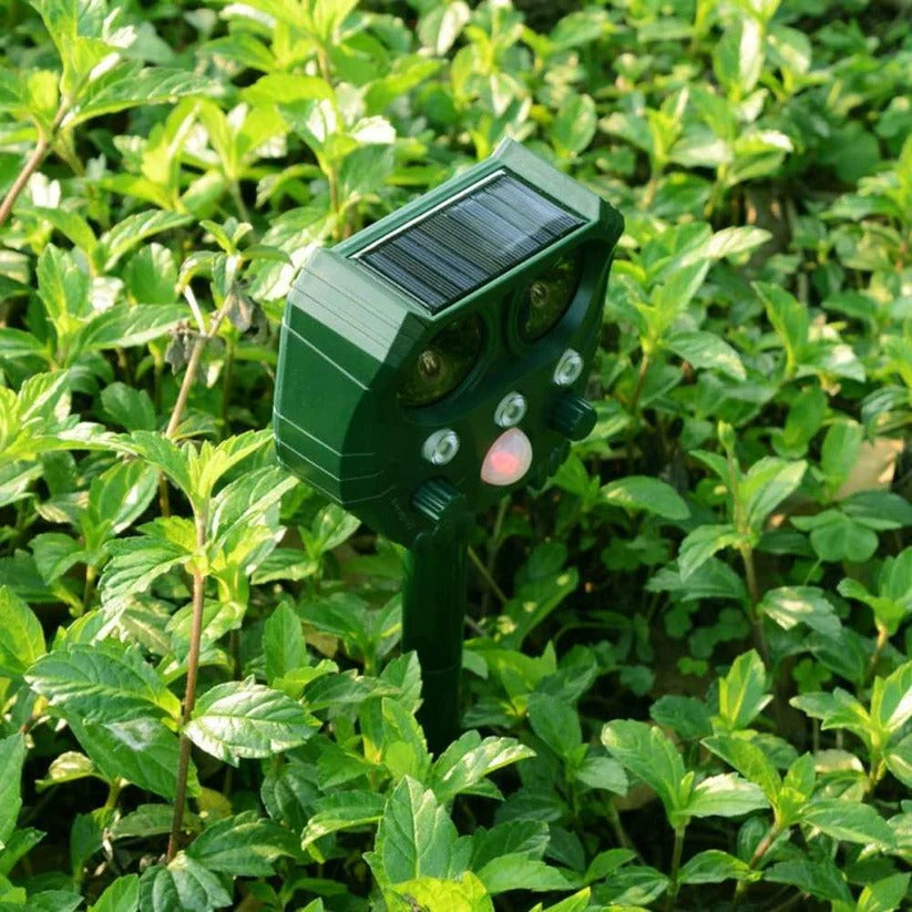 Solar-Powered Ultrasonic Animal Deterrent with Motion Sensor