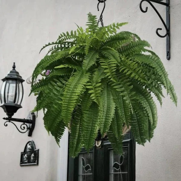 Lifelike Fern Plant for Indoor and Outdoor Use