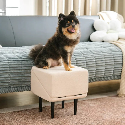 Adjustable Pet Access Ramp with Comfortable Steps and Secure Base