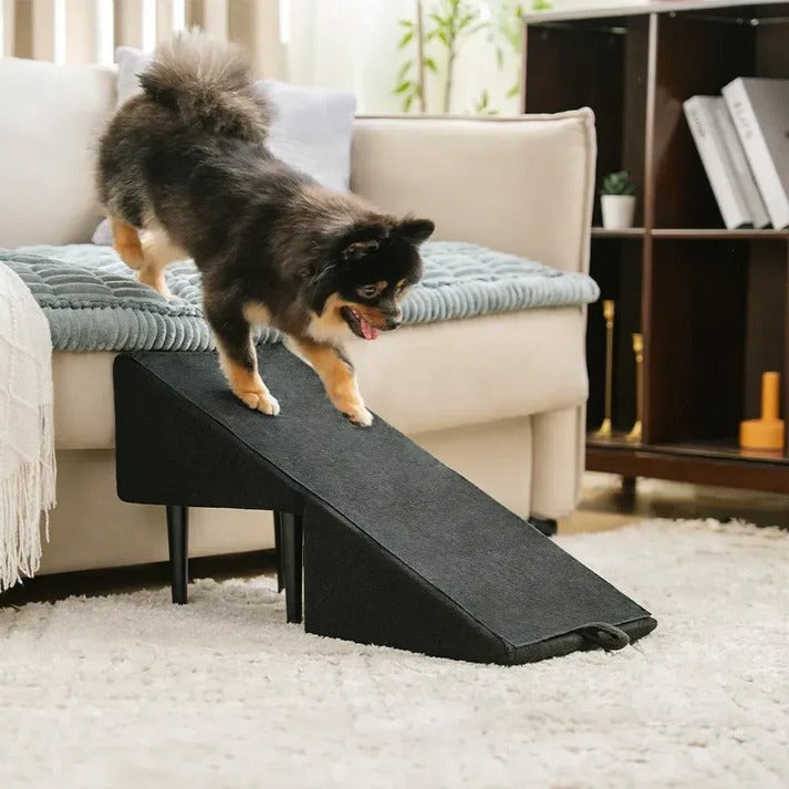 Adjustable Pet Access Ramp with Comfortable Steps and Secure Base