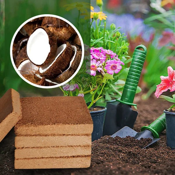 Eco-Friendly Coconut Fiber Block for Effortless Planting