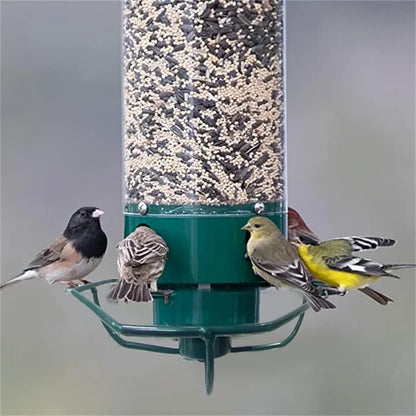 Squirrel-Resistant Bird Feeder for Backyard Birds
