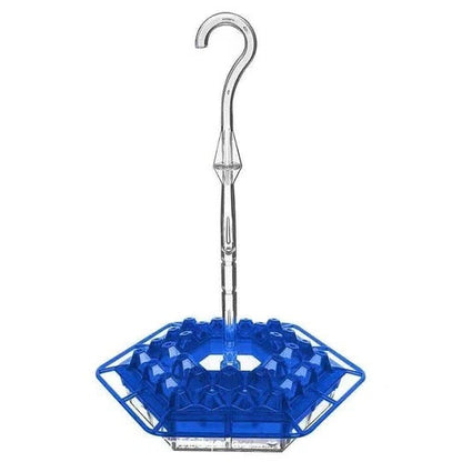 Insect-Resistant Outdoor Hummingbird Feeder with Perches