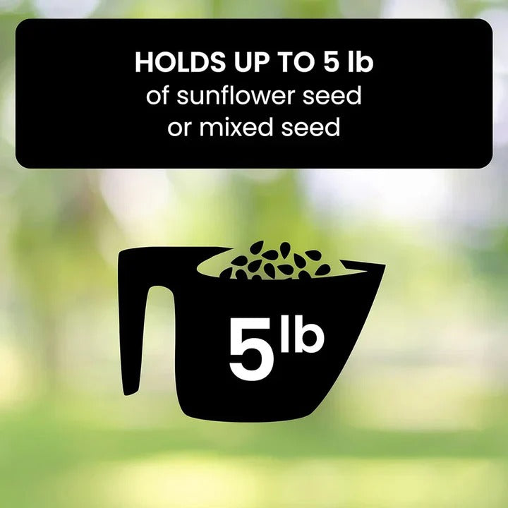 Squirrel-Resistant Bird Feeder for Backyard Birds