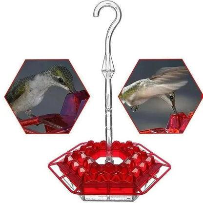 Insect-Resistant Outdoor Hummingbird Feeder with Perches