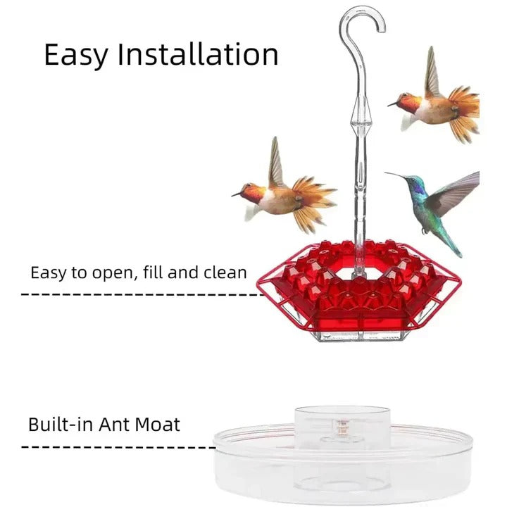 Insect-Resistant Outdoor Hummingbird Feeder with Perches