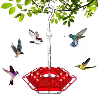 Insect-Resistant Outdoor Hummingbird Feeder with Perches