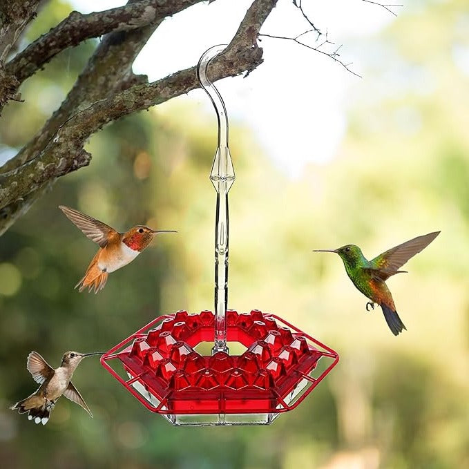 UV Resistant Polycarbonate Hummingbird Feeder with 30 Flower Ports and Ant Moats
