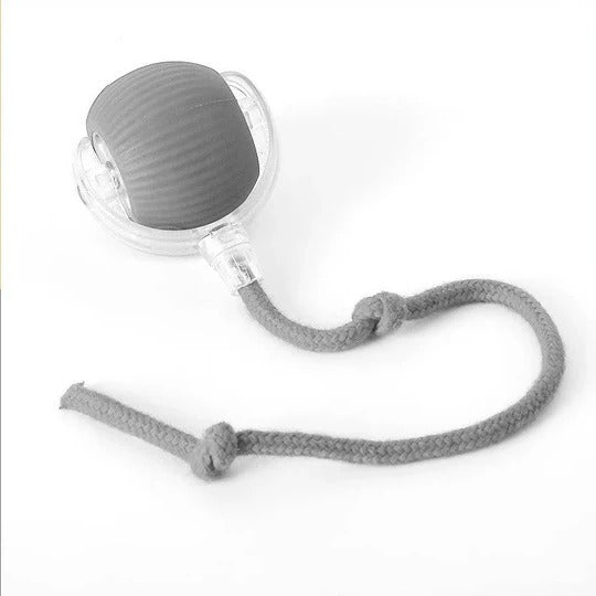 Engaging Motion-Activated Rolling Toy with Interactive Tail