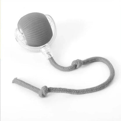 Engaging Motion-Activated Rolling Toy with Interactive Tail