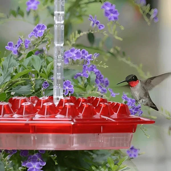 Nectar Haven Bird Feeder with Pest-Guard Moat