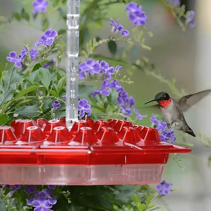 Nectar Haven Bird Feeder with Pest-Guard Moat