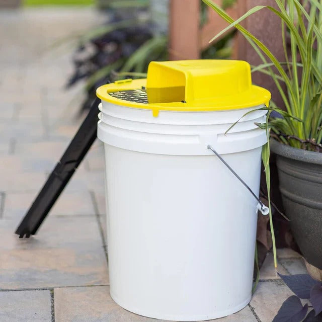 Eco-Friendly Automatic Bucket Trap for Mice and Rats