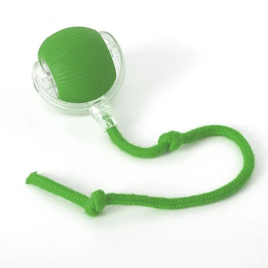 Engaging Motion-Activated Rolling Toy with Interactive Tail