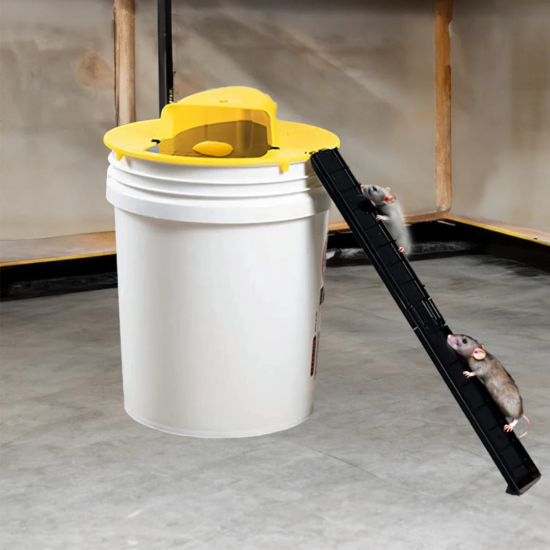Eco-Friendly Automatic Bucket Trap for Mice and Rats