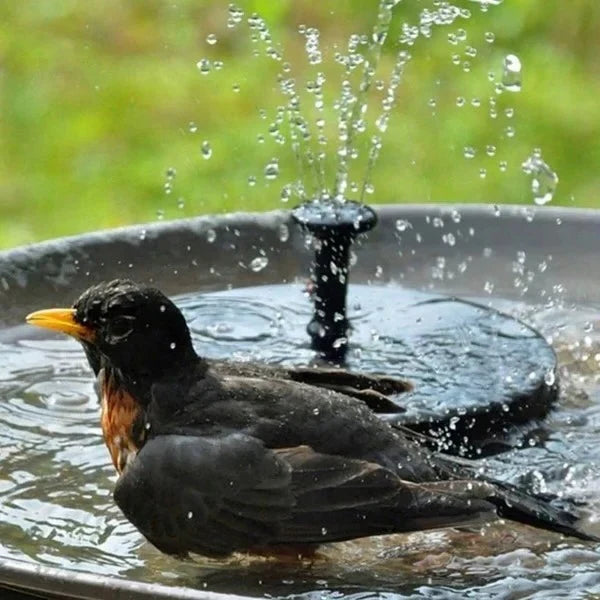 Sunlit Serenity Garden Fountain Pump