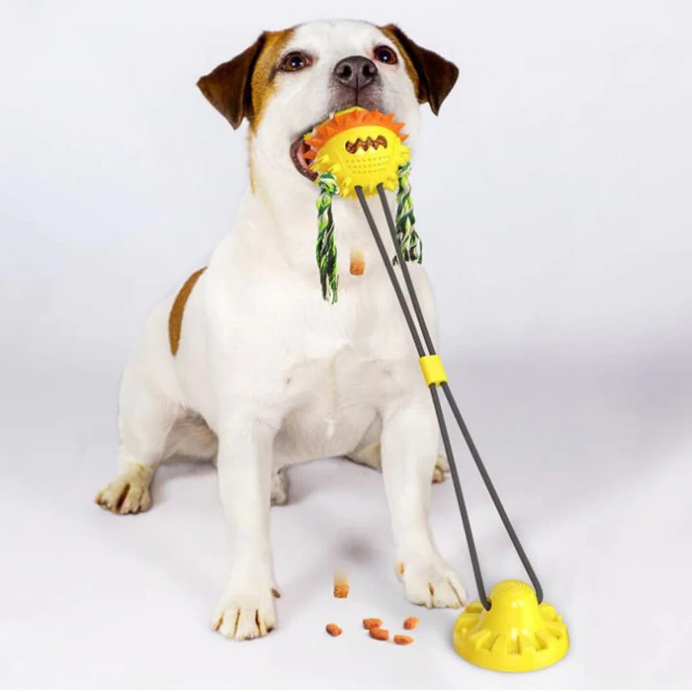 Autonomous Pet Plaything with Chewable Features for All Breeds