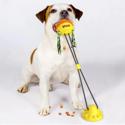 Autonomous Pet Plaything with Chewable Features for All Breeds