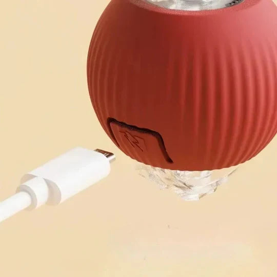 Interactive Motion Ball Toy for Happy, Active Dogs