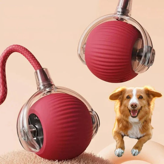 Engaging Motion-Activated Rolling Toy with Interactive Tail