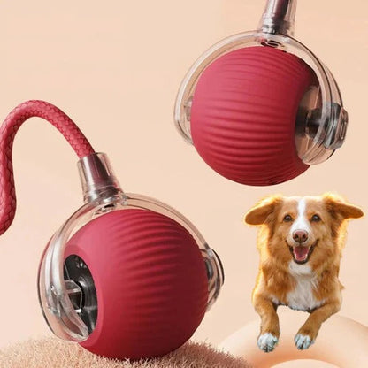 Engaging Motion-Activated Rolling Toy with Interactive Tail