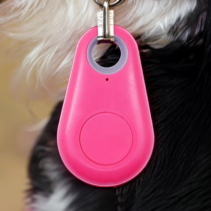 Smart Pet Locator with Real-Time Tracking & Alerts - 6-Month Battery